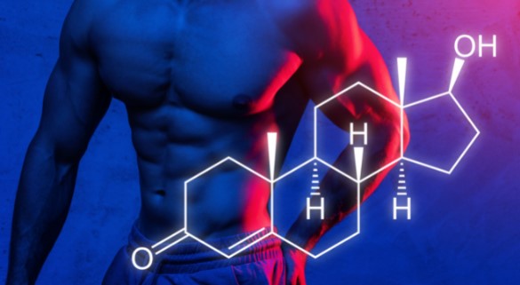 Testosterone-body-building